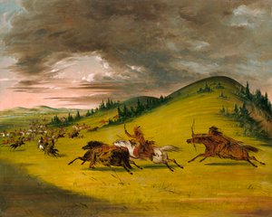 Slag tussen Sioux en Sac en Fox