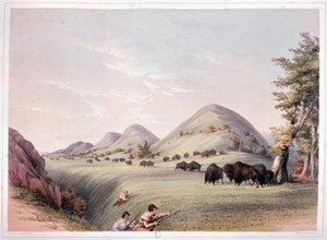 Bizonjacht door George Catlin