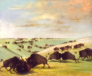 Buffalo Bulls vechten in het paarseizoen, Boven Missouri, 1837-1839 door George Catlin
