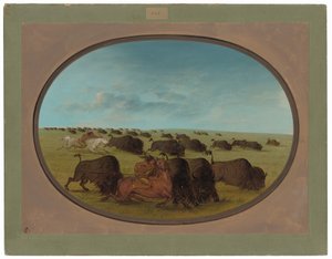 Buffeljacht, met Ongelukken door George Catlin
