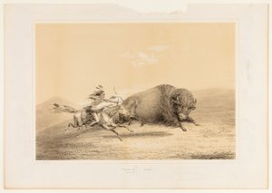 Buffeljacht, jacht--nr. 5 door George Catlin