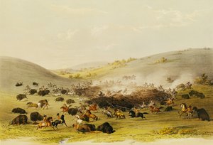 Buffeljacht, omsingeling, c.1832 door George Catlin