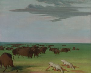 Buffeljacht onder het wolfshuidmasker, 1832-1833