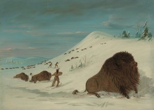 Buffalo Lancing in de sneeuwdriften - Sioux door George Catlin