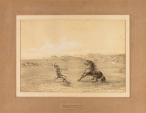 Het wilde paard vangen - nr. 4 door George Catlin