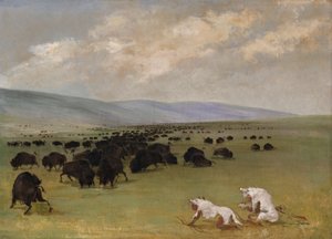 Catlin en zijn Indiaanse gids naderen buffels onder witte wolfshuiden