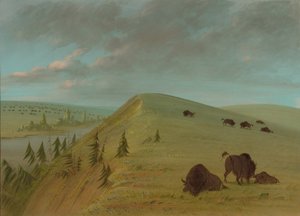 Cedar Bluffs, 1861-1869 door George Catlin
