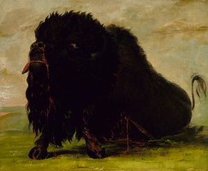 Stervende Buffel, Geschoten met een Pijl, 1832-1833