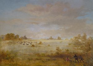 Elanden grazen op een herfstige prairie door George Catlin