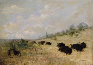 Elanden en buffels grazen tussen prairiebloemen, Texas