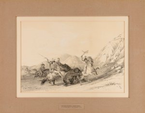 Indianen vallen grizzlyberen aan - nr. 19 door George Catlin