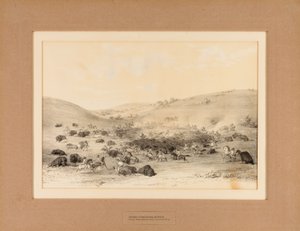 Indianen omsingelen Buffalo--no. 9 door George Catlin