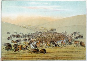 Indianen van Amerika: Indianen van de Miniatarees die buffels jagen met speren. Illustratie door George Catlin (1794-1872) door George Catlin