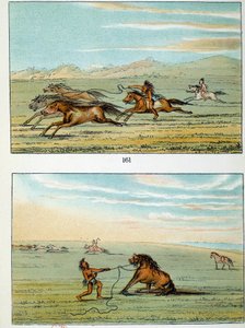 Indianen van Amerika: hoe wilde paarden te vangen. Illustratie door George Catlin (1794-1872) door George Catlin