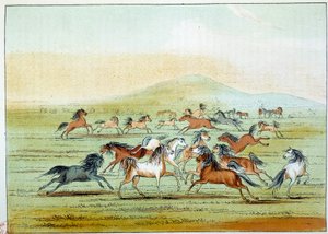 Indianen van Amerika: Wilde paarden gejaagd door Indianen. Illustratie door George Catlin door George Catlin