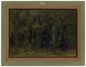 Interieur van een Amazonewoud - Zurumati door George Catlin