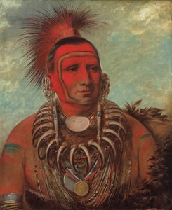 Shon-ta-yi-ga, Kleine Wolf, een beroemde krijger door George Catlin