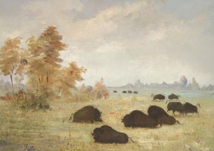 Buffalo stalken, Arkansas door George Catlin