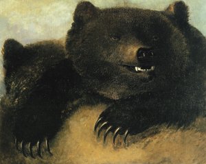 Wapens en fysionomie van de grizzlybeer