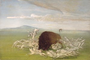Witte wolven vallen een buffelstier aan door George Catlin