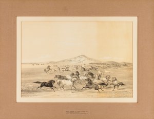 Wilde paarden aan het spelen - nr. 3 door George Catlin