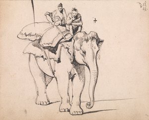 Een olifant