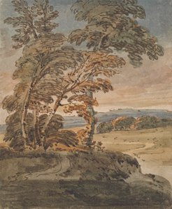 Bomen op een heuvelpad door George Chinnery