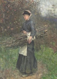 Hout Verzamelen