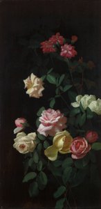 Rozen door George Cochran Lambdin