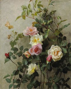 Rozen op een Muur door George Cochran Lambdin