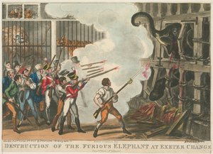 Vernietiging van de woedende olifant bij Exeter Change, 1826