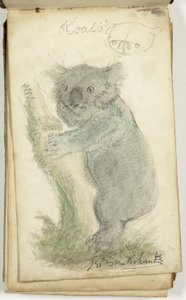 Schetsboek