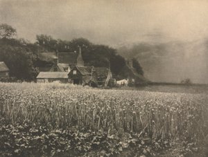 Camera Work: Het uienveld - 1890, 1890 door George Davison