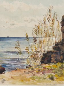 In San Remo met uitzicht op de Middellandse Zee, 10 januari 1878