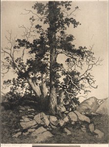  door George Elbert Burr