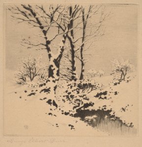  door George Elbert Burr