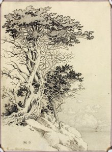 Zonder titel (tekening voor afdruk) door George Elbert Burr