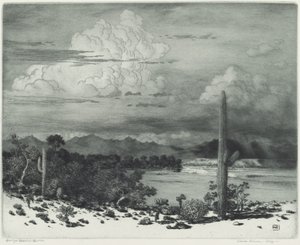 Verde River, Arizona door George Elbert Burr