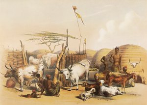 Een Zulu-kraal aan de Umgaki-rivier in Natal door George French Angas