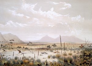 Kangoeroejacht bij Port Lincoln, uit 