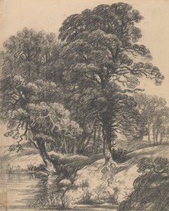Een Bebost Landschap met Vijver