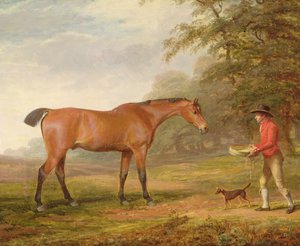 Een bruine hengst benaderd door een staljongen met voedsel en een halster, 1789
