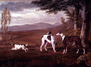 Windhonden in een Landschap