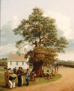De Eik van de Apostel