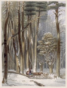 Winter, Belemmerde Reizigers in een Pijnboombos, uit Harveys Scènes van het Primitieve Woud van Amerika door George Harvey