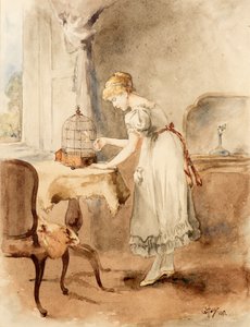 De Kanarie Voeren