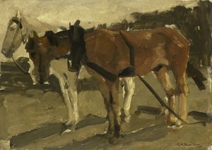 Een Bruin en een Wit Paard in Scheveningen