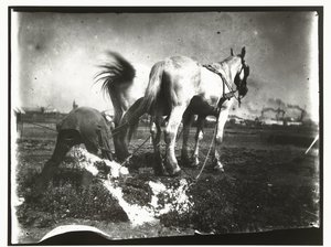 Het ploegen van een veld door paarden door George Hendrik Breitner