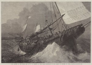 De oogst van de Noordzee