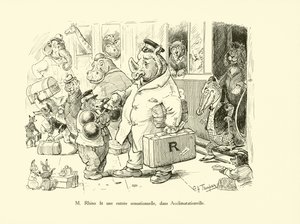 Mr Rhino maakte een sensationele entree in Acclimatationville (litho)